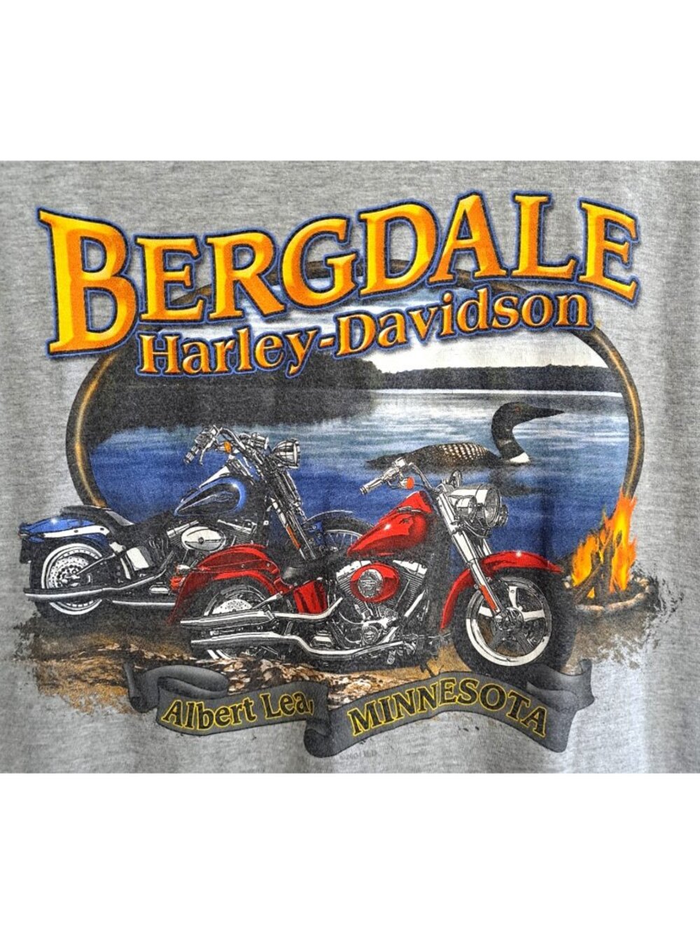 Harley-Davidson Men's L Gray Bergdale Albert Lea Minnesota Pocket T-Shirt